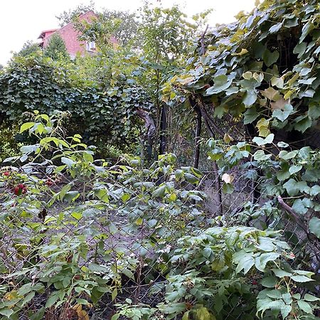 Apartamenty Lux Slowackiego, Przemyśl Buitenkant foto